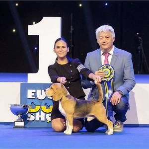 Meet your Posher, Anastasia